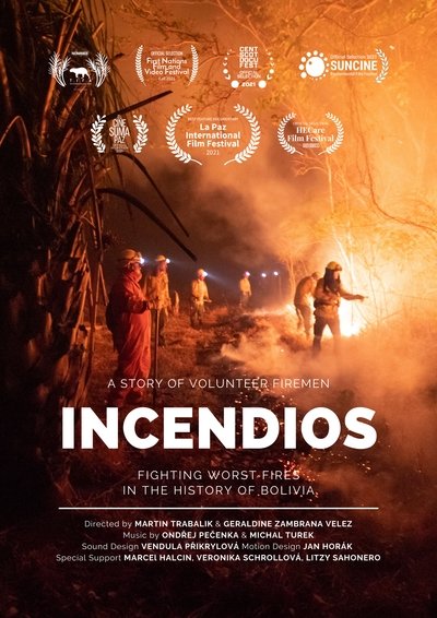 Poster do Filme Incendios