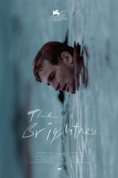 Poster do Filme The Brightness
