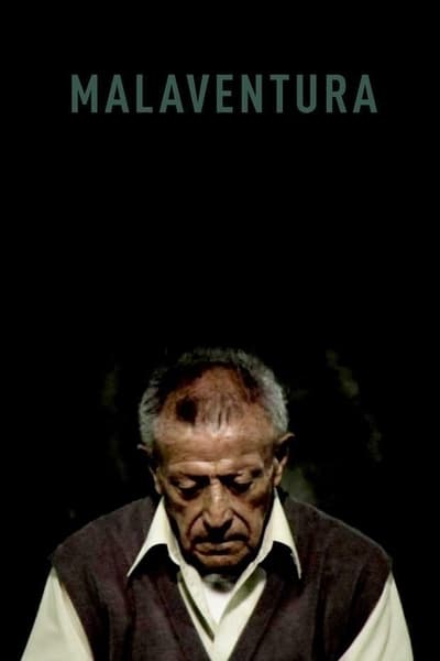 Poster do Filme Malaventura