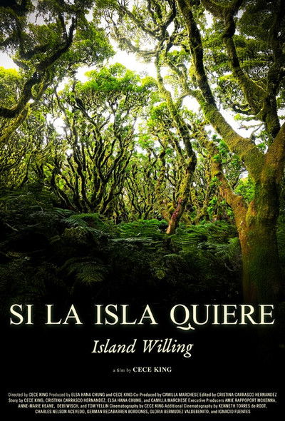 movie poster for Island Willing