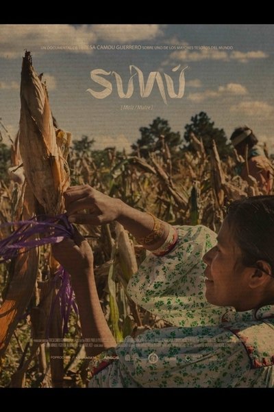 movie poster for Sunú