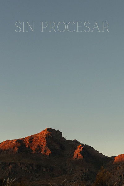 movie poster for Sin Procesar