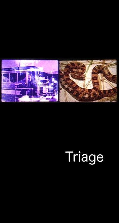 Watch!Triage Full Movie Online Putlocker