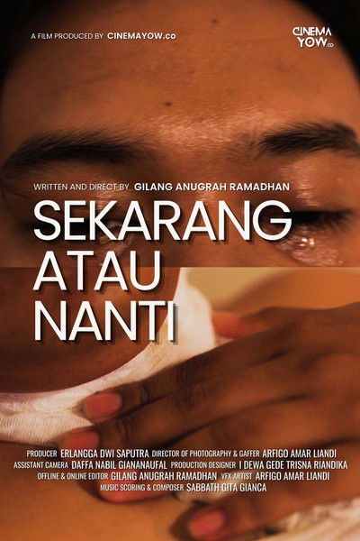 Poster do Filme Now or Never