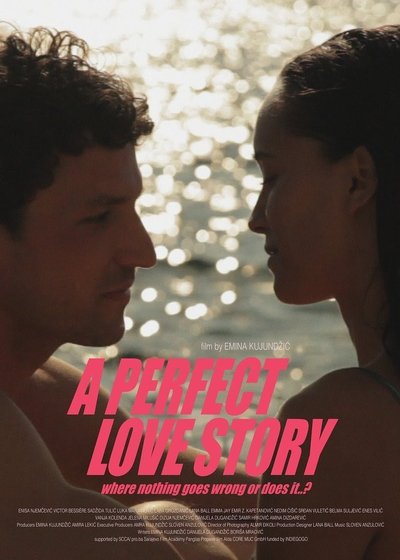 Poster do Filme A Perfect Love Story Where Nothing Goes Wrong or Does It…?