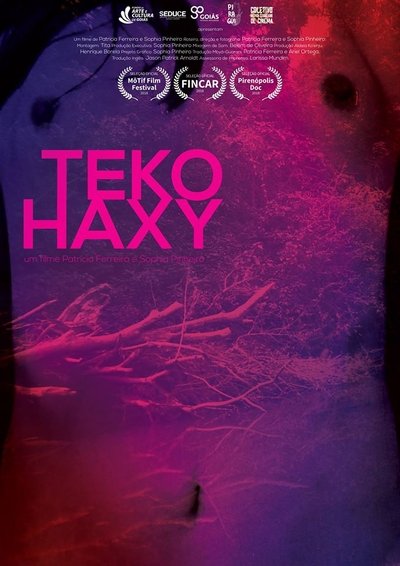 Poster do Filme TEKO HAXY - ser imperfeita