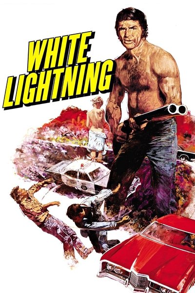Poster for the movie White Lightning