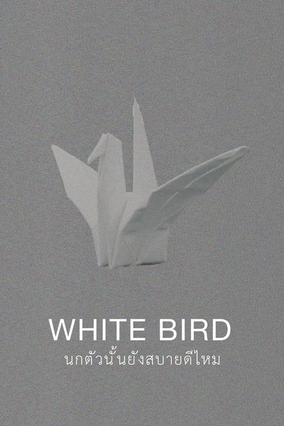 movie poster for White Bird