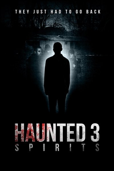 Poster for the movie Haunted 3: Spirits