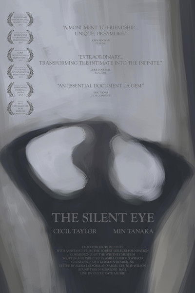 Poster do Filme The Silent Eye