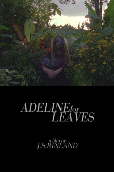 Poster do Filme Adeline for Leaves