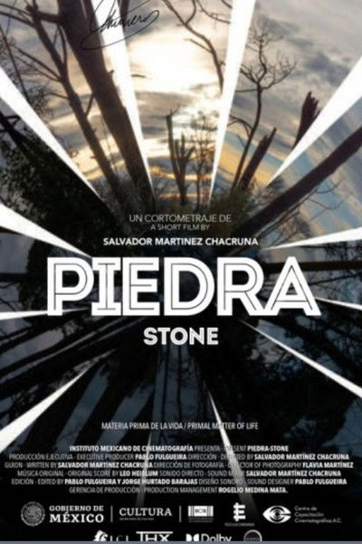 Poster do Filme Piedra