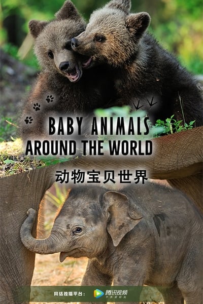 Baby Animals Around the World TV Show Poster