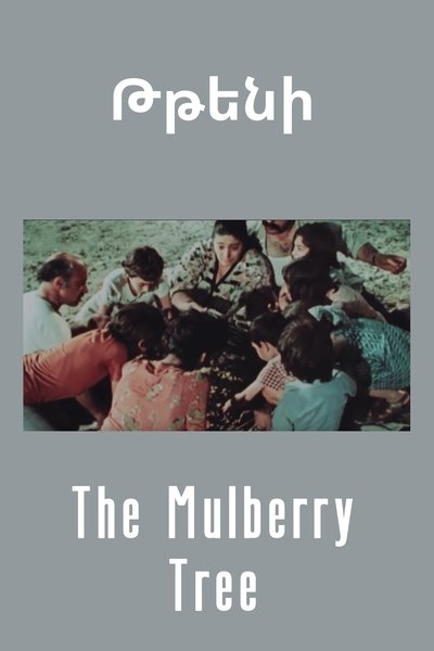 Poster for the movie The Mulberry Tree