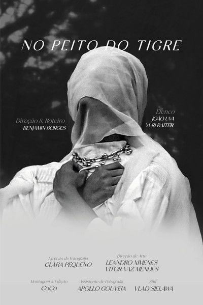 Poster do Filme No peito do tigre