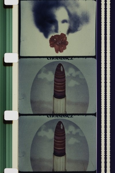 Poster do Filme C'est Fou !