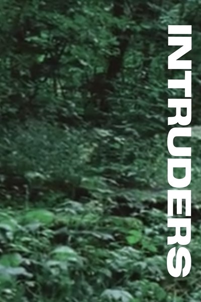 Poster do Filme Vill mark