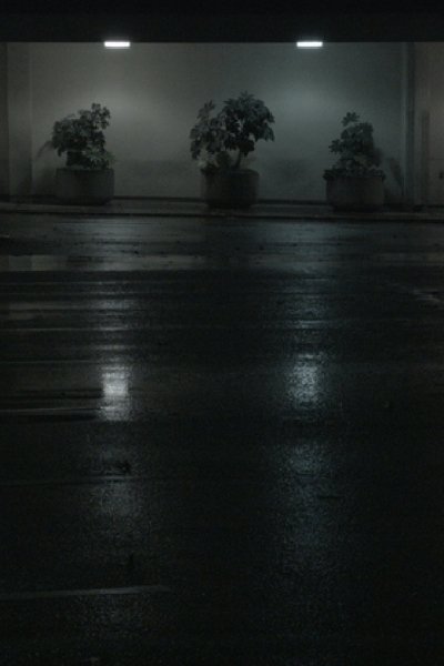 Poster do Filme Night Swells