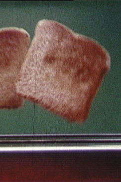 Poster do Filme Toast