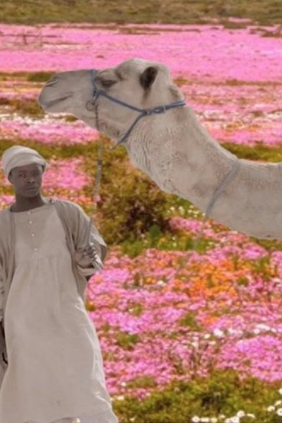 Poster do Filme The Future Was Desert