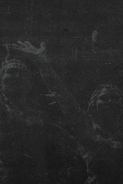 movie poster for Hello, Goodbye