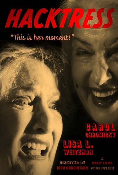 movie poster for Hacktress