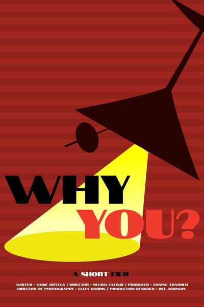 Poster do Filme Why You?