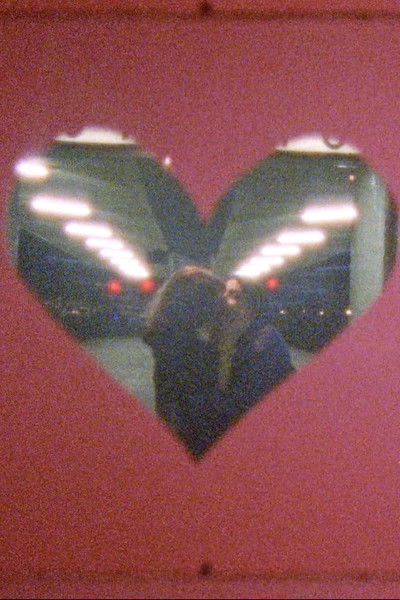 Poster do Filme Love Bites