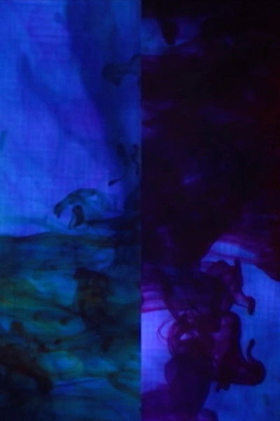 Poster do Filme After Synchromy