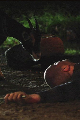 Poster do Filme Goatman of Kananaskis