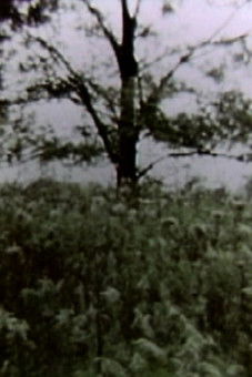 movie poster for Leviathan