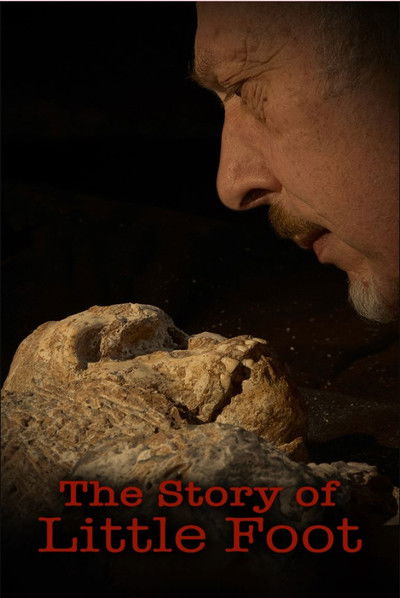 Poster do Filme The Story of Little Foot