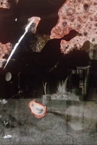 Poster do Filme Abstracto