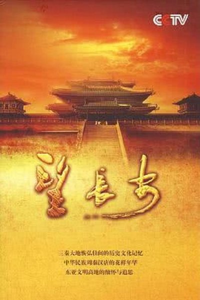 poster for 望长安