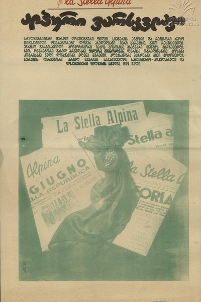 movie poster for La stella Alpina