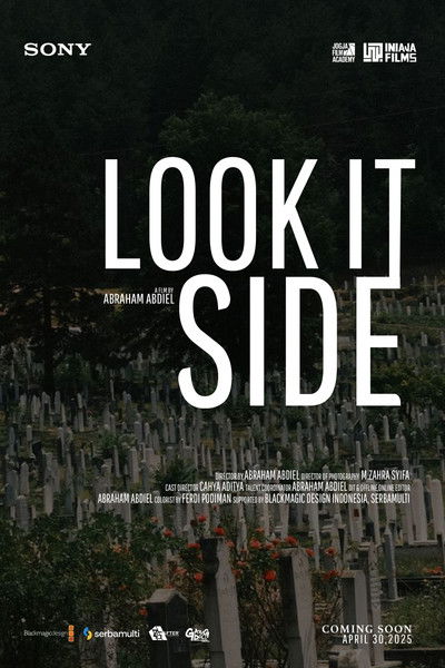 movie poster for LOOK IT SIDE