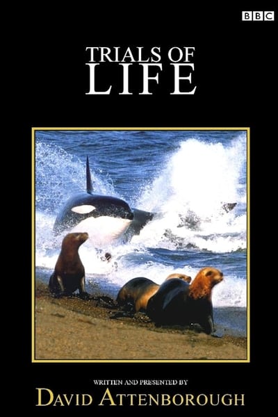 Watch Now!(1990) The Trials of Life Movie Online Free -123Movies