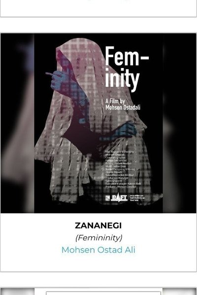 Poster do Filme ZANANEGI
