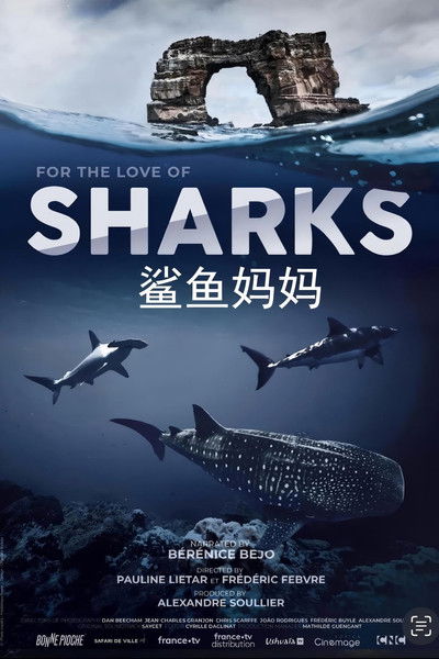 鲨鱼妈妈