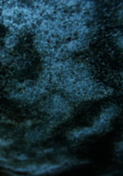 Poster do Filme Salt Lake