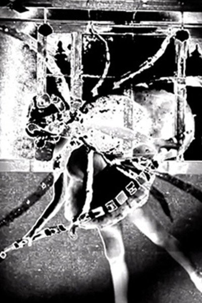 Nine Inch Nails: Came Back Haunted
