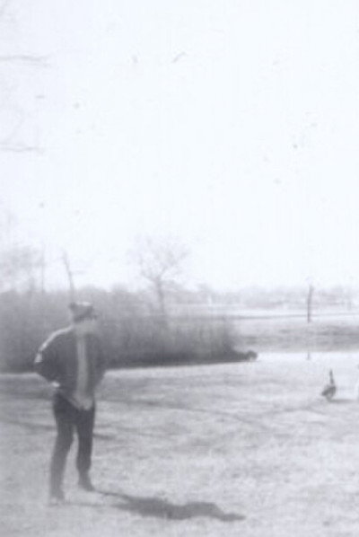 Imagem de Peter Kotas