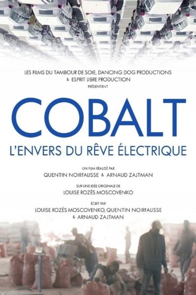 Poster do Filme Cobalt, l'envers du rêve électrique