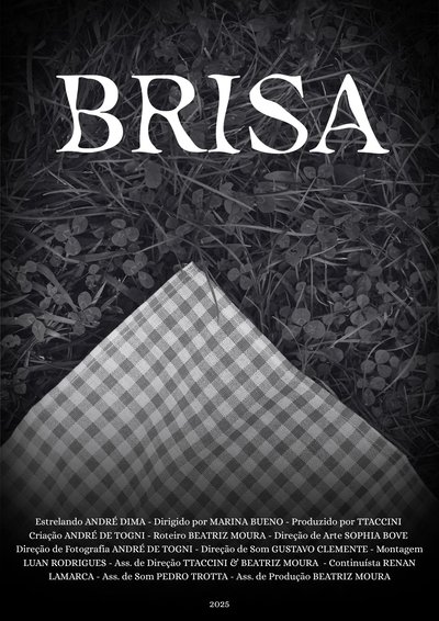 Poster do Filme Brisa