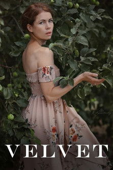 movie poster for Velvet