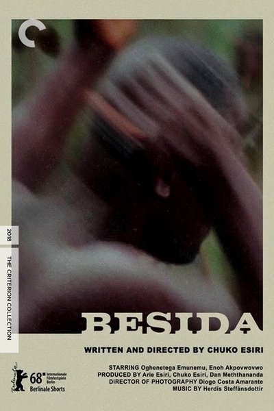 movie poster for Besida