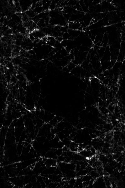 Poster do Filme Mantle of Dusk