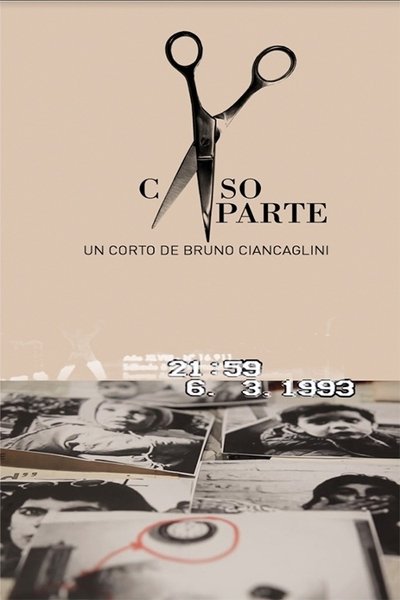Poster do Filme Caso à Parte