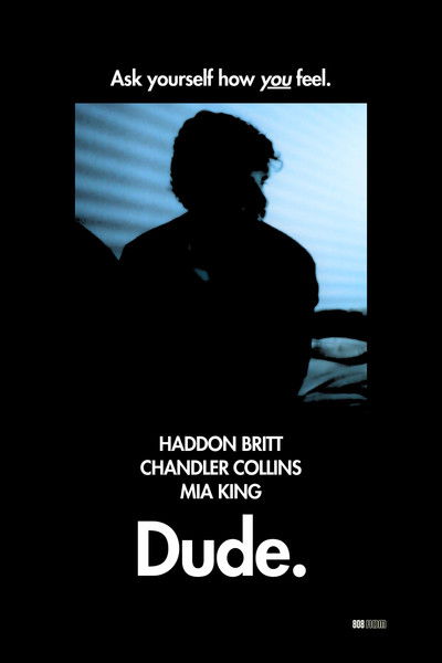 movie poster for Dude.