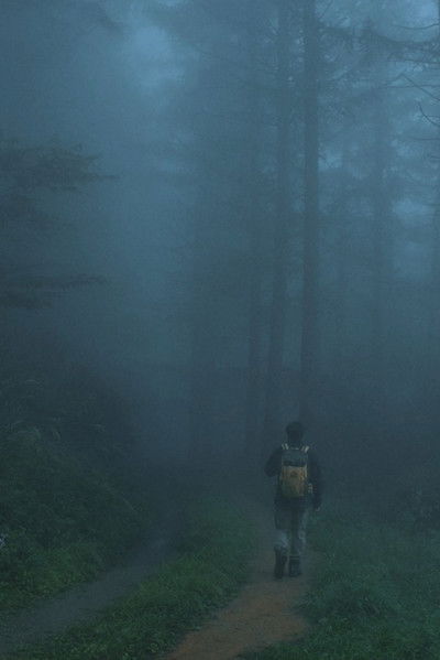 Men Wandering in the Mountain